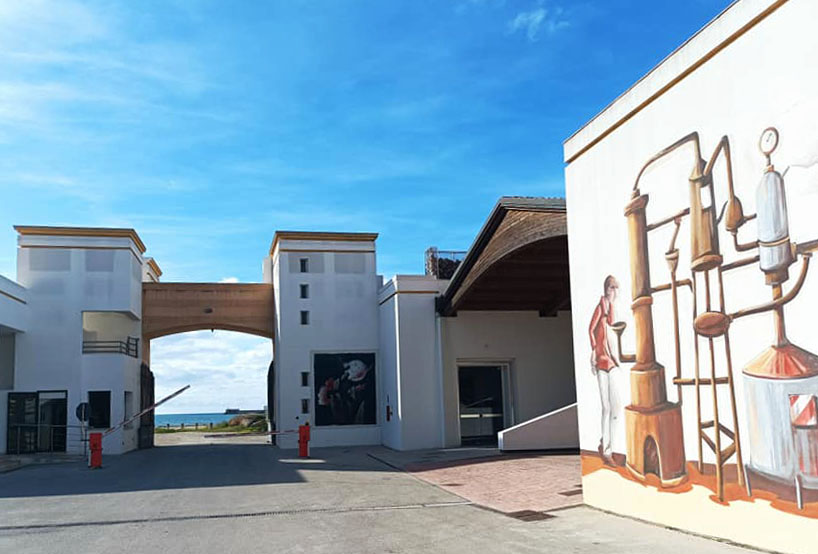 cantine florio - visite e degustazioni terradamare