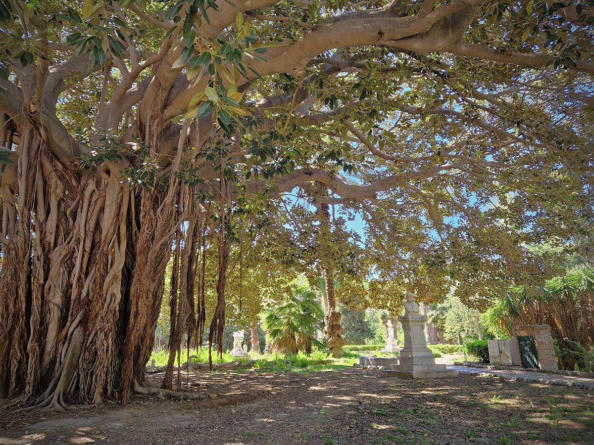 Tour 'La Belle Époque dei giardini romantici: Villa Trabia e Gi